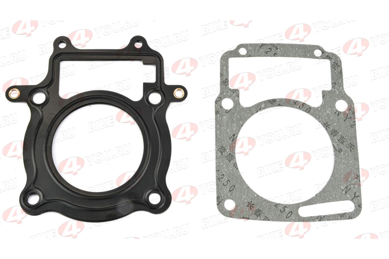 Набор прокладок цилиндро поршневой группы ( ЦПГ ) 172FMM-3A 250 (CB250-F) 250см3 ZS X-TECH